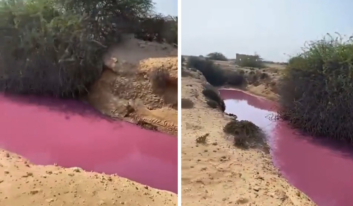Pink water body in northern Qatar goes viral 